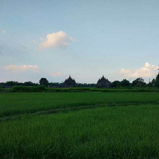 Salah satu pemandangan yang tampak di sepanjang jalur lomba (dokpri)