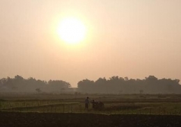 Anak dan ayah sedang membajak sawah pada pagi hari (Sumber Dok. Pribadi)