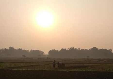 Anak dan ayah sedang membajak sawah pada pagi hari (Sumber Dok. Pribadi)