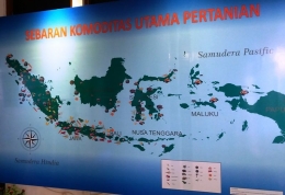 Lokasi geografis Indonesia yang khas dari Sabang sampai Merauke sangat memerlukan Big Data untuk prediksi perubahan iklim (Dokumen Pribadi/Lokasi: Museum Pertanian Bogor)