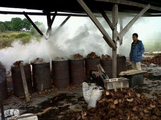 Limbah tempurung kelapa dapat dimanfaatkan untuk pembuatan biopestisida alami yang ramah lingkungan (8villages.com).