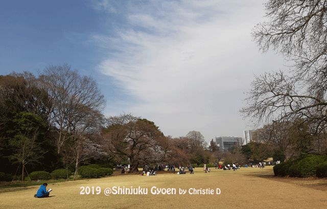 Dokumentasi pribadi | Langit biru, padang hijau rumput, dengan pepohonan raksasa cantik! Dengan latar belakang distrik Shinjuku, kota Metropolitan Tokyo