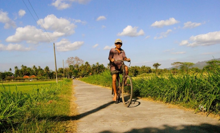 Mbah Marto bersepeda dari sawahnya di Wedi, Klaten, Jawa Tengah (dok. pri).