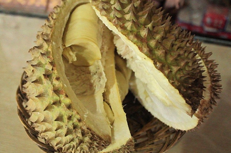Durian lokal Rancamaya di Warso Farm (dok. pribadi)