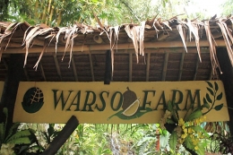 Kebun Durian Warso Farm Cijeruk (dok. pribadi)
