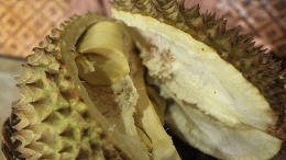 Gambar: Durian Rancamaya Khas Warso Farm (Dokpri)