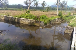 Untuk mendapatkan hasil panen yang maksimal, pembangunan infrastruktur pengairan adalah sebuah keniscayaan. (Dok. pribadi) 