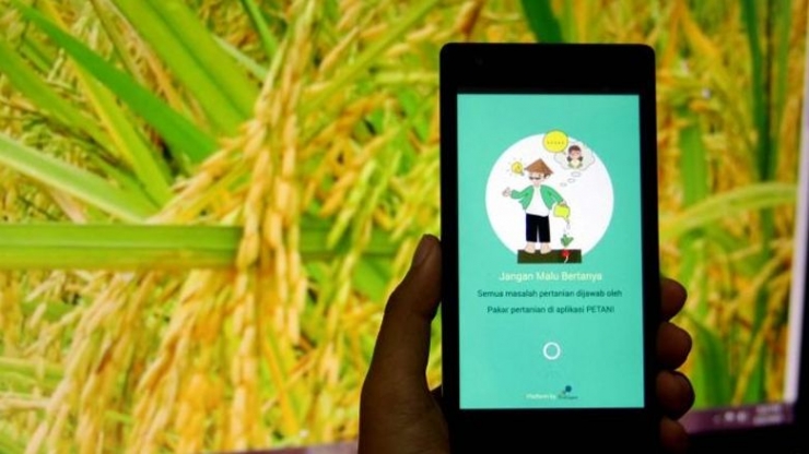 Salah satu aplikasi teknologi informasi di bidang pertanian [harnas.co]