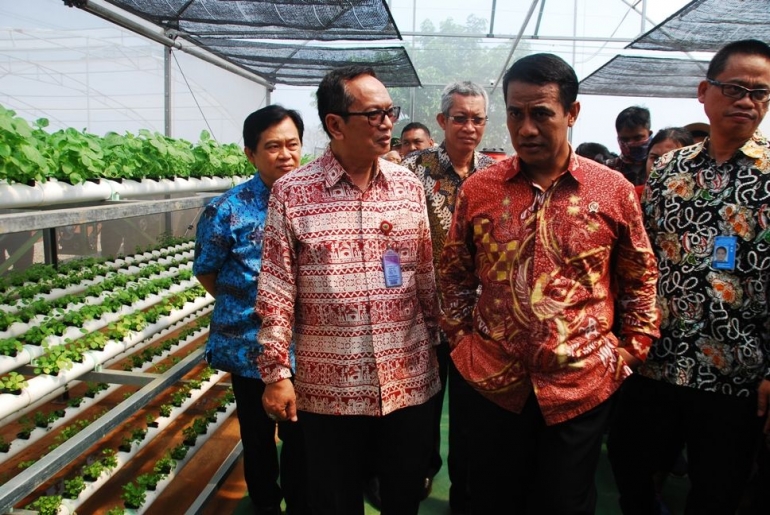 Menteri Pertanian saat meninjau smart green house | dokpri