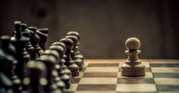 bidak (sumber:www.chess123.com)