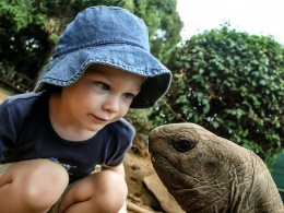 Ilustrasi Persahabatan Anak dan Kura-kura. Sumber Foto : https://pixabay.com