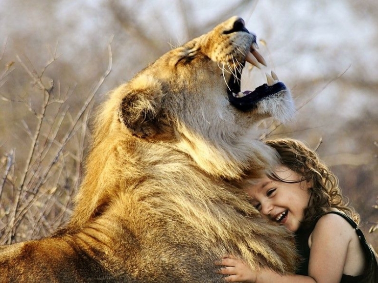 Ilustrasi Persahabatan Anak dan Singa. Sumber Foto : https://pixabay.com
