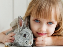 Ilustrasi Persahabatan Anak dan Kelinci. Sumber Foto : https://pixabay.com