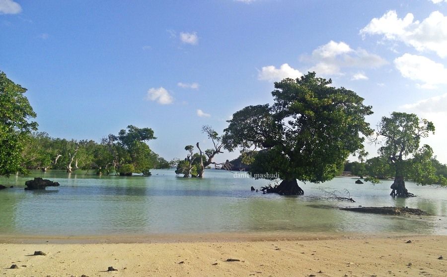 Pantai Oeseli | Dokumentasi pribadi