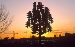 traffic light tree, www.telegraph.co.uk 