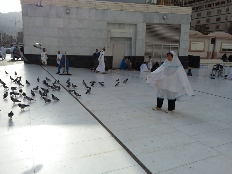 Penyayang unggas. Kasih sayang manusia dengan hewan tercermin di tanah haram. Foto | Dokpri