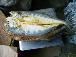 Ikan Asin Talang. Picture taken by Safri Ishak, Pasar Pembangunan Pangkal Pinang, 21-April-2011.