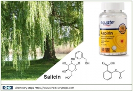 Sumber utama bahan pembuatan Aspirin dari pohon kulit pohon Willow. Sumber: Chemistry Steps