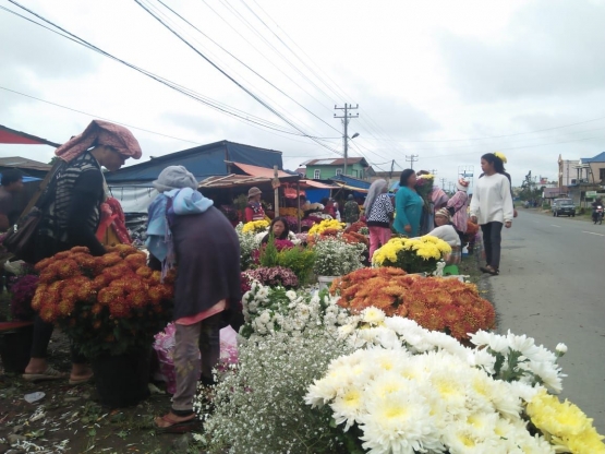 Pasar Bunga di Desa Raya Kec. Berastagi (dokpri)