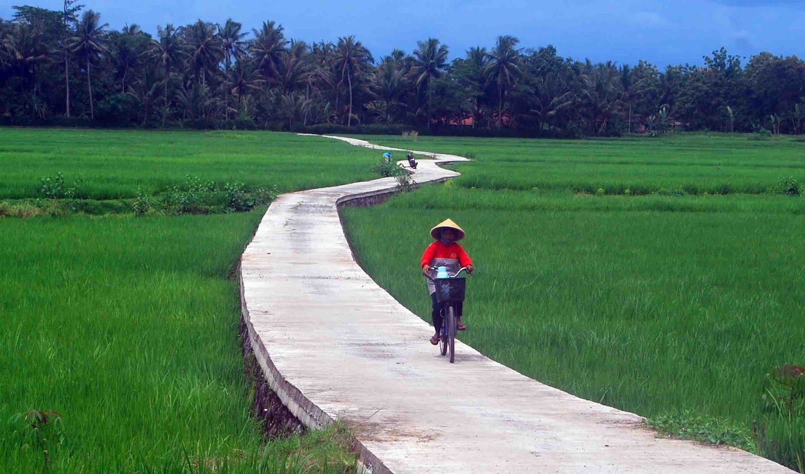 https://indonesiaexpat.biz