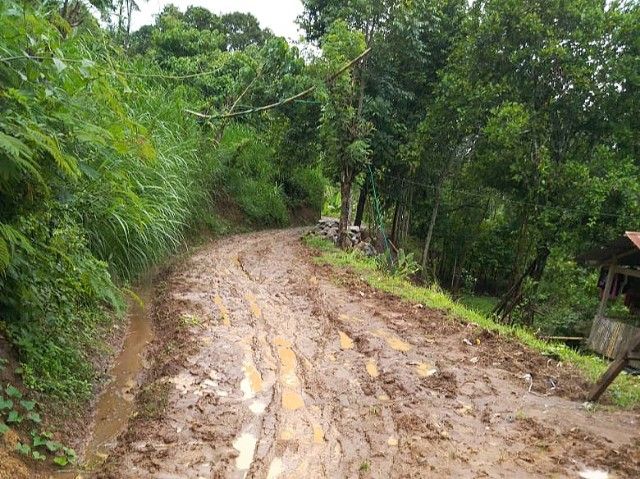 Jalan tanah di kampung halaman Muhlis Majid. (dokpri)