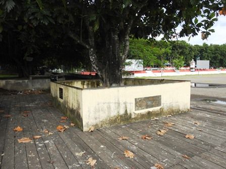 Pohon Sukun Tempat Kelahiran Pancasila (Dokumentasi pribadi)
