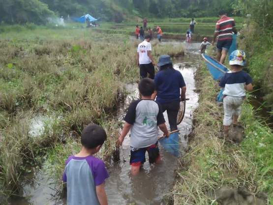 Menangkap ikan di sawah bersama anak-anak dan keluarga teman sekantor di Desa Talimbaru (dokpri)