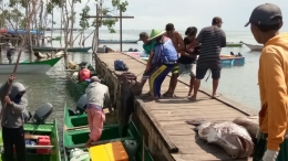 Nelayan Penangkapan Ikan Kerapu Kaimana (sumber: Infofakfak.com)