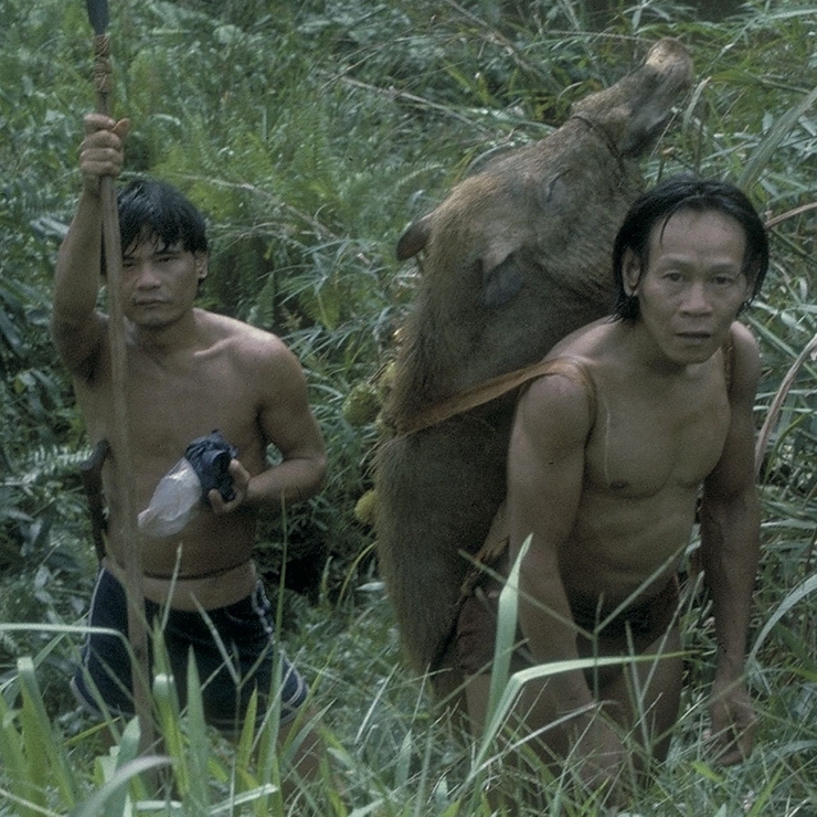 Foto Halaman Depan Buku Beyond the Green Myth. dokpri