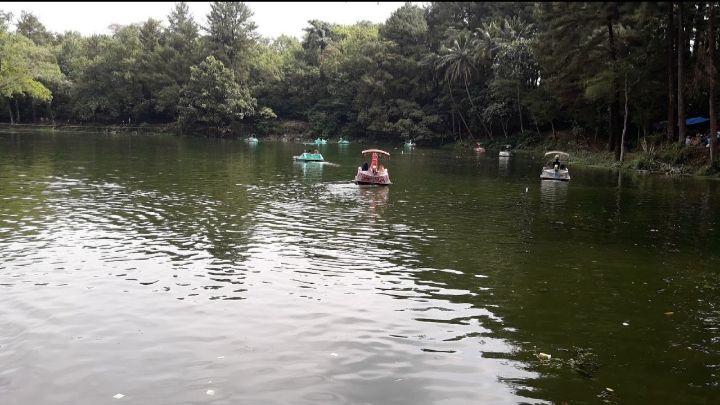 Objek wisata Talaga remis yang mempunyai spot cantik pemandangan hutan dan telaga (Dokumentasi pribadi)