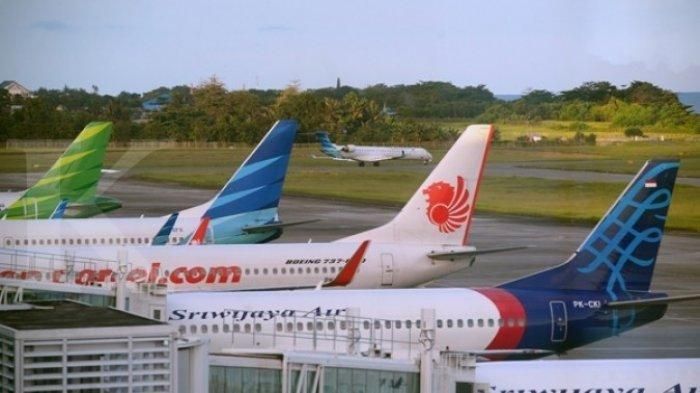 Maskapai Penerbangan Indonesia | tribunnews