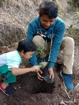 Program Menanam Pohon di Bukit sekitar Danau Toba
