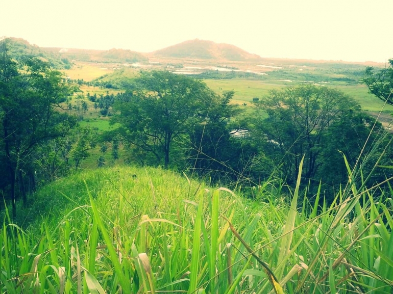 Foto diatas puncak kebun saya.  Dokpri