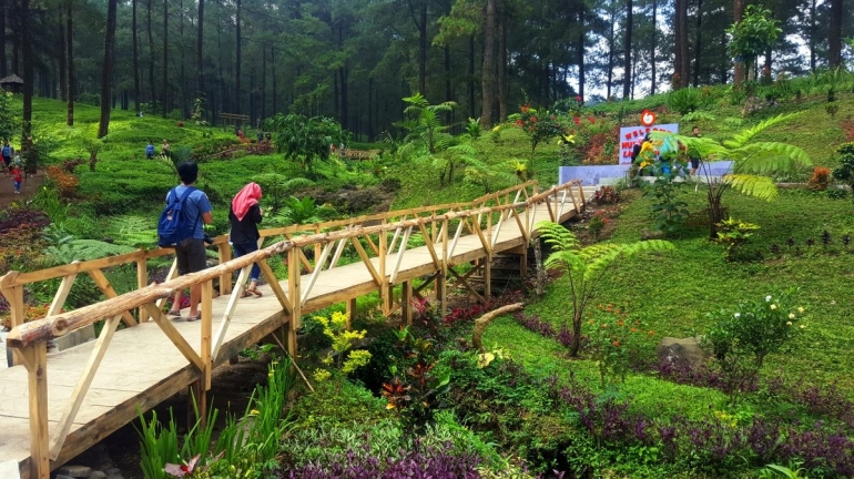 Jembatan kayu menuju kawasan Hutan Pinus Limpakuwus (dokumentasi pribadi).