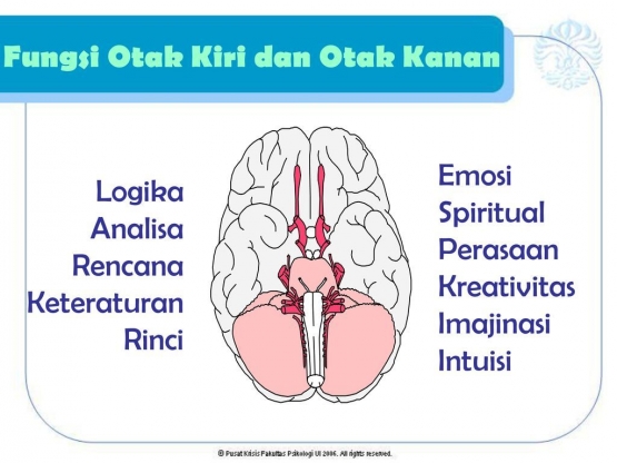 Fungsi Otak kiri dan kanan | Fak. Psikologi UI