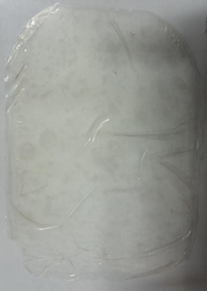 Gambar 2. Bioplastik Eceng Gondok (dokpri)