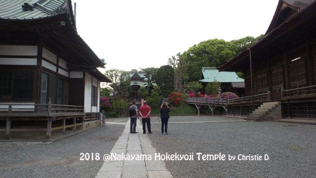    Dokumentasi pribadi  Soshido Hall, aula terbesar (sebelah kanan), dengan bangunan "penjaganya" (sebelah kiri) dan Shisoku-Mon Gate dibelakangnya, yang saling bertautan dengan Soshido Hall lewat jembatan kayu.