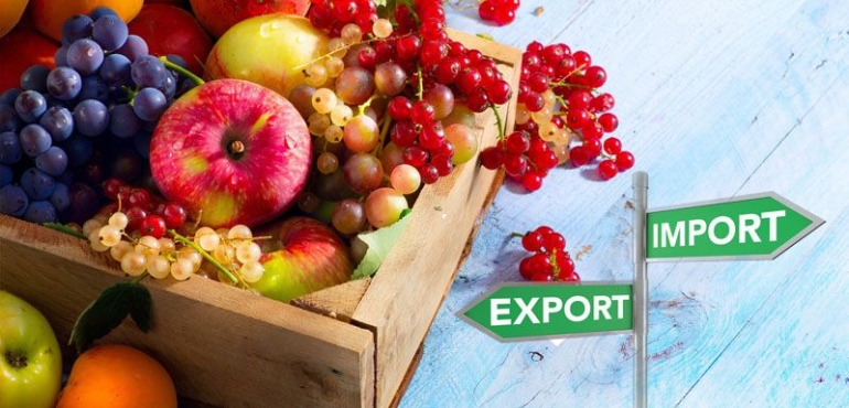 distributor buah segar import
