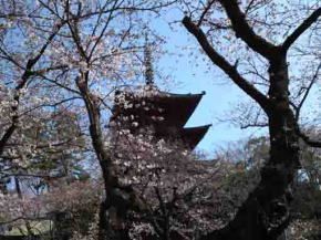 Dokpri
