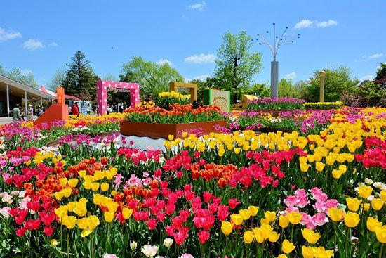 www.tripadvisor.com