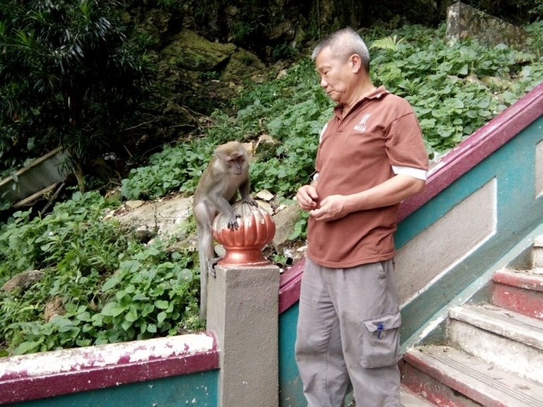 Seorang turis sedang bercengkrama dengan monyet di tangga Batu Cave. Dokumentasi Pribadi.