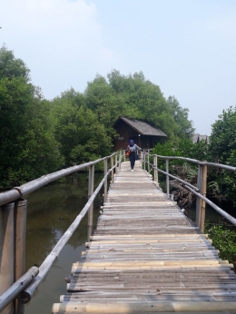 Salah satu Jembatan di Taman Wisata Alam Angke Kapuk (dokpri)