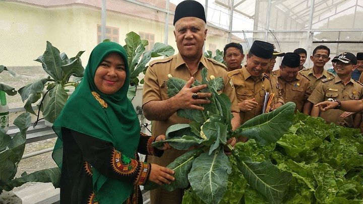 Gambar 1, Bupati Aceh Tengah, Shabela Abubakar menunjukkan sayuran segar hasil budidaya di taman hidroponik (Doc. FMT)
