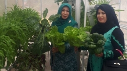 Gambar 4, Ketua Tim Penggerak PKK Aceh Tengah, Puan Ratna (kiri) juga mengagumi budidaya sayuran organik sistem hidroponik (Doc. FMT)