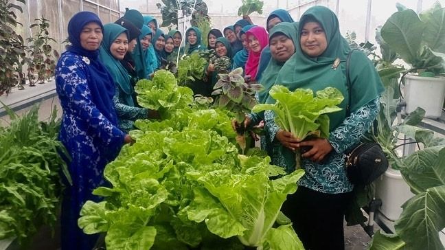 Bertanam Sayuran Dengan Hidroponikdoc cara membuat Bertanam Sayuran Dengan Hidroponikdoc cara membuat