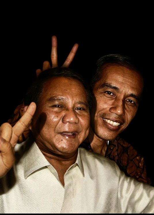 Jokowi-prabowo.kreasi karya Agan Harahap.sumber : instagram @aganharahap via Detikcom