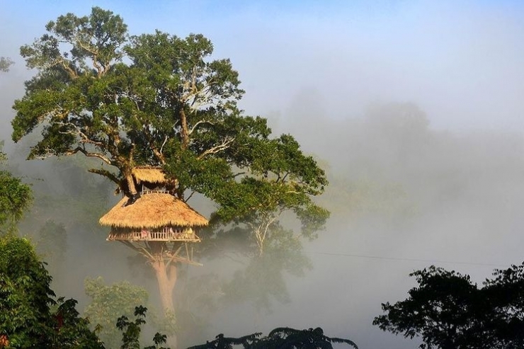 Ilustrasi Rumah di atas Pohon (Foto: The Gibbon Experience ) | Kompas.com