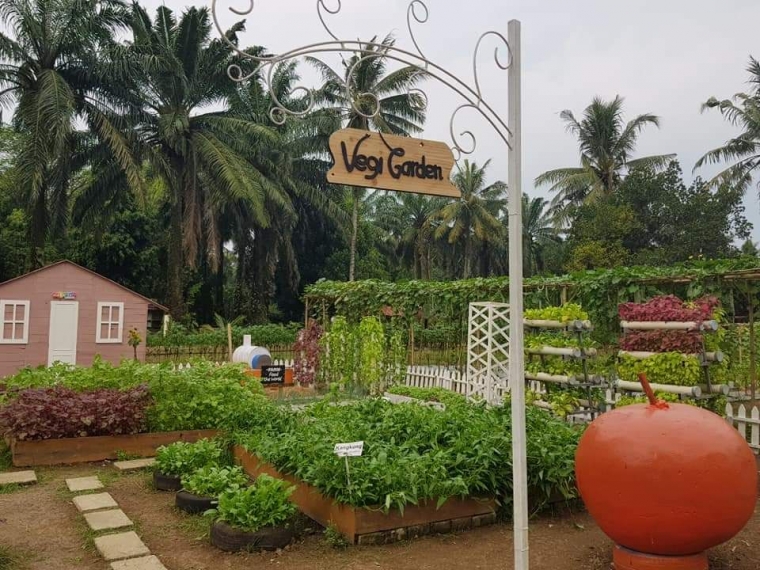 Kebun sayuran di Farm Fantasy (Dok. Pribadi)