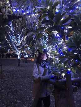 Dimusim dingin, dengan lampu2 dekoratif akan memberikan efek yang magis dengan warna biru dan putih ini, di Odaiba | Dokumentasi pribadi