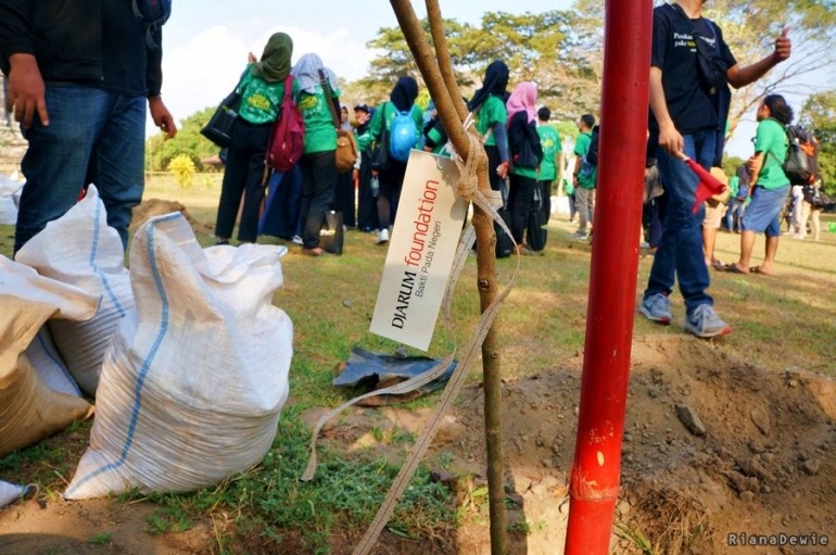 Media tanam bibit pohon yang telah dipersiapkan oleh panitia (Dok.Pri)